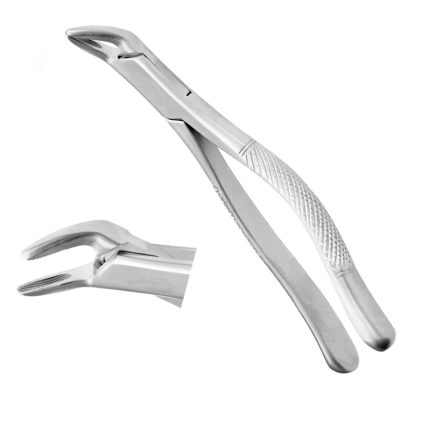 Apical Lower Universal Forceps Fig 151