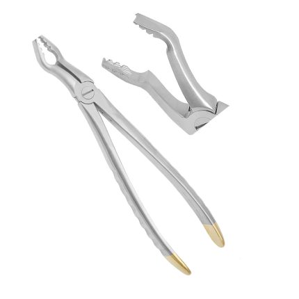 Deep Gripping Atraumatic Universal Extraction Forceps Upper Molars