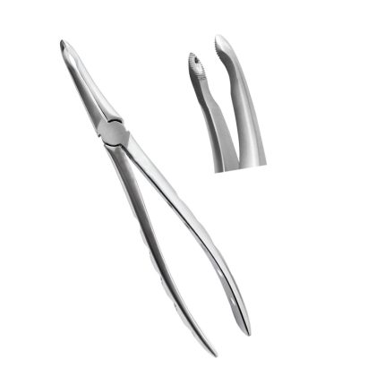 Dental Extracting Forceps Upper Roots Fig 44, Micro Serrated Edges